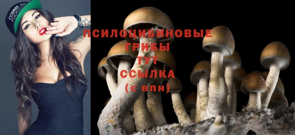 таблы Кукмор