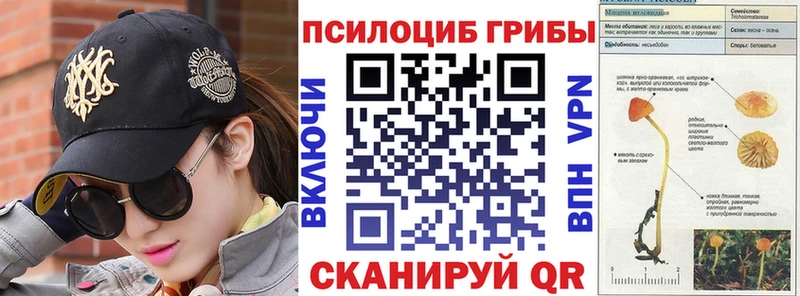 Галлюциногенные грибы мухоморы  Купить где  Знаменск 